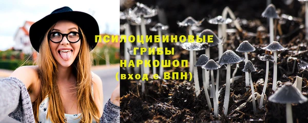 Альфа ПВП Володарск